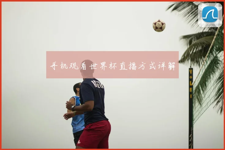 手机观看世界杯直播方式详解