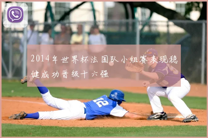 2014年世界杯法国队小组赛表现稳健成功晋级十六强