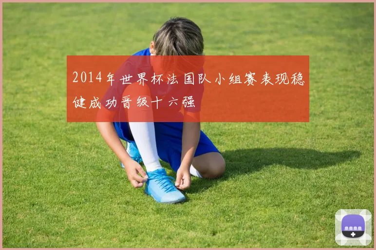 2014年世界杯法国队小组赛表现稳健成功晋级十六强